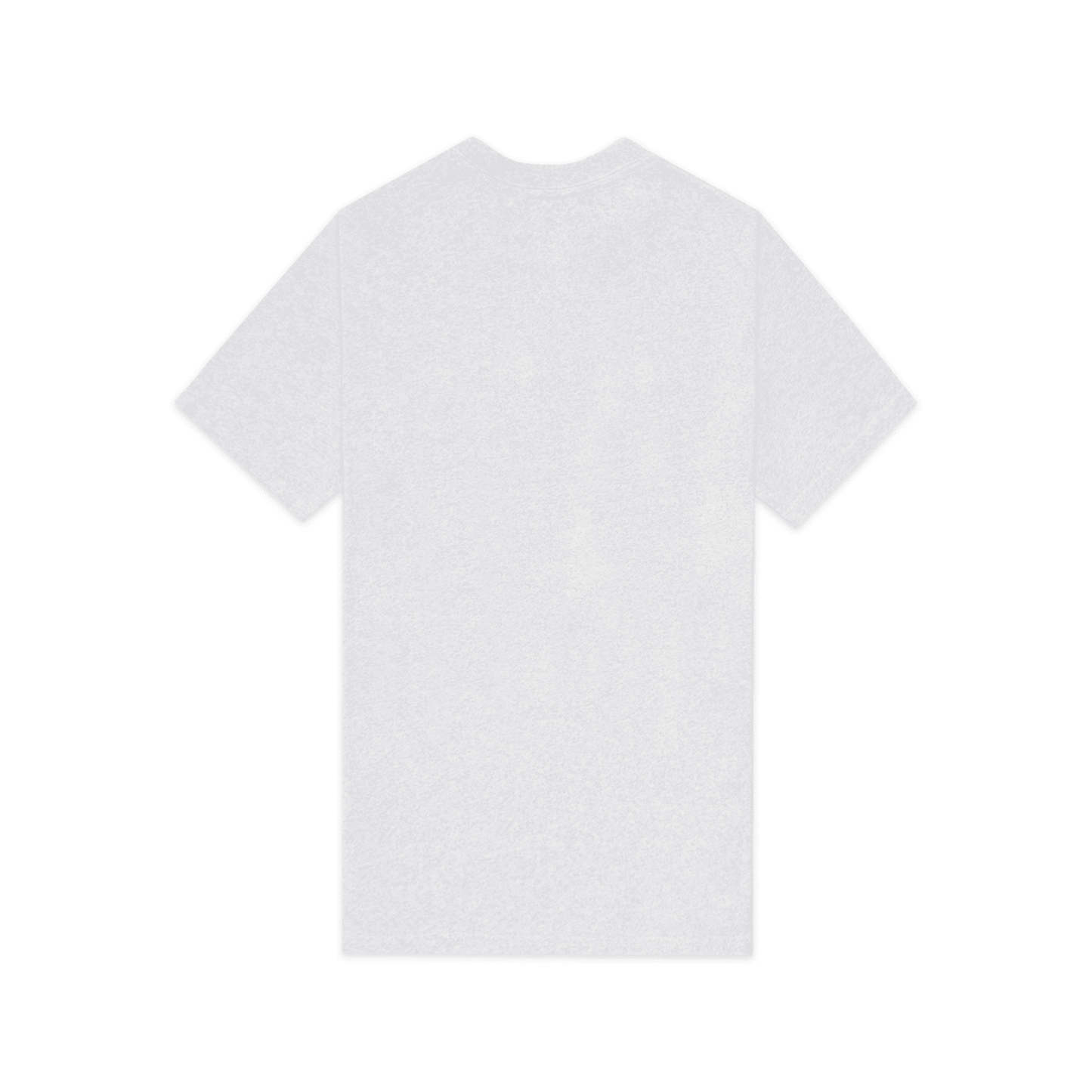 NYON Mr. Knick 2024 Playoff Tee In Grey - Back View