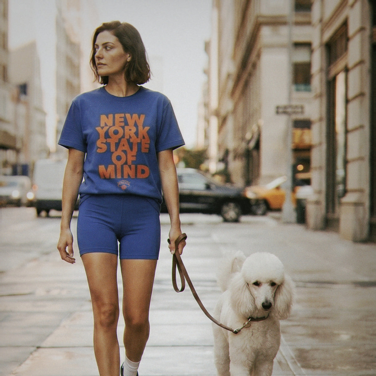Sportiqe Billy Joel x Knicks New York State of Mind Tee