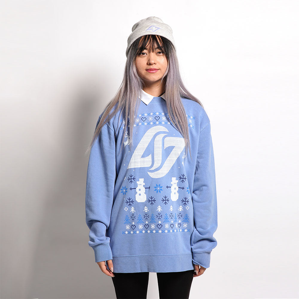 CLG Holiday Sweater in Blue - Front View, Worn
